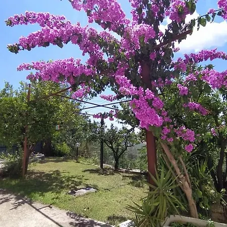 La Casa Sul Colle *