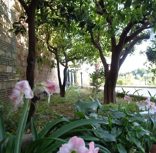 La Casa Sul Colle Prázdninový dům